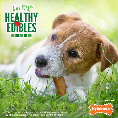 Nylabone Healthy Edibles AllNatural Long Lasting Chew Treats Bacon, 1ea/SMall/Regular Up To 25 Ibs. 3 ct