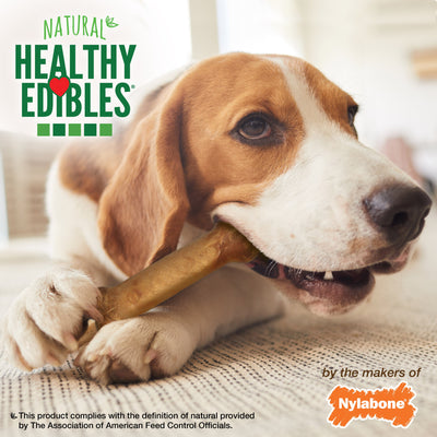 Nylabone Healthy Edibles AllNatural Long Lasting Chew Treats Chicken, 1ea/Medium/Wolf Up To 35 Lbs. 2 ct