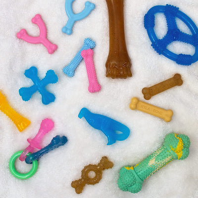 Nylabone Puppy Ring Bone Teething Toy for Puppies Chicken, 1ea/Medium/Wolf Up To 35 Lbs. 1 ct