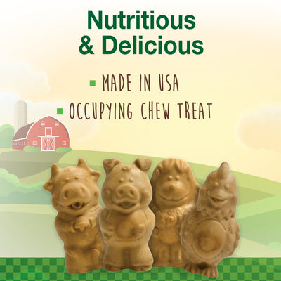 Nylabone Healthy Edibles AllNatural Long Lasting Puppy Chew Treats Lamb Apple, 1ea/SMall/Regular Up To 25 Ibs. 12 ct