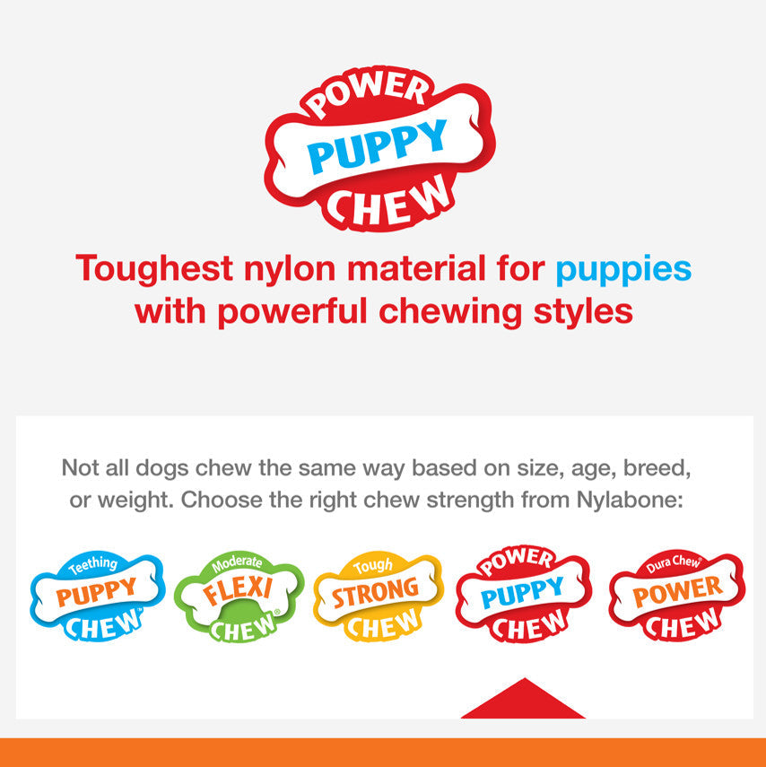 Nylabone Puppy Power Chew Axis Bone Nylon Chew Toy Vanilla, 1ea/SMall/Regular Up To 25 Ibs. 1 ct
