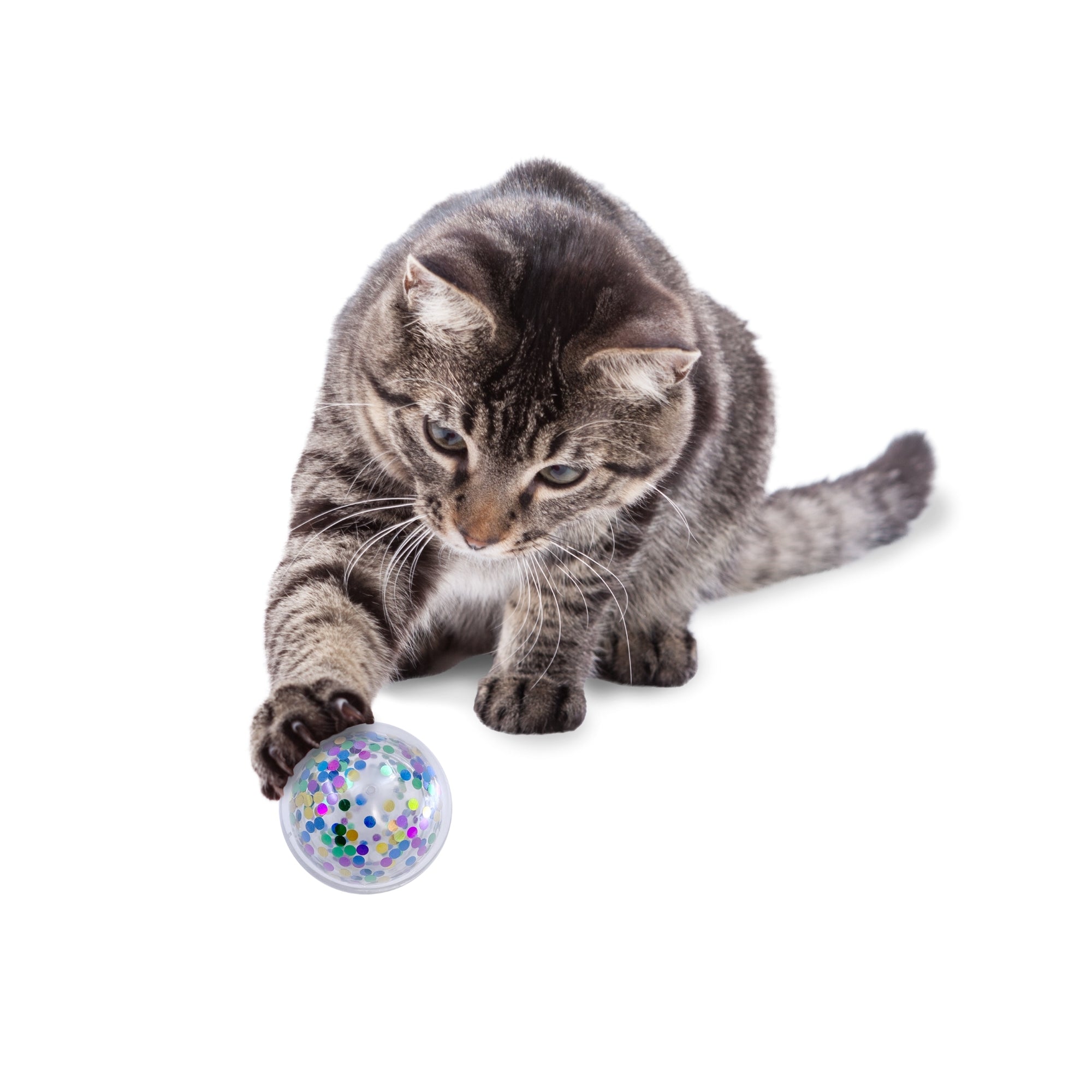 KONG Active Confetti Ball Cat Toy One Size (2 pack)