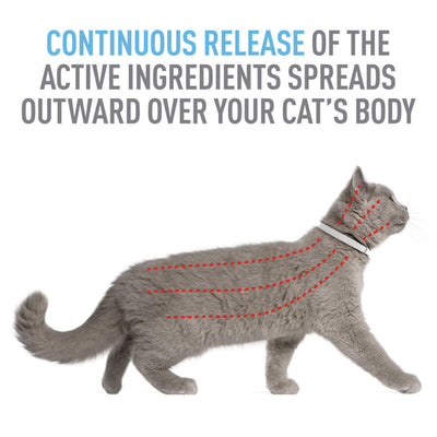 Adams Plus Flea Tick Collar for Cats 1ea/1 pk