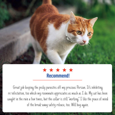 Adams Plus Flea Tick Collar for Cats 1ea/1 pk