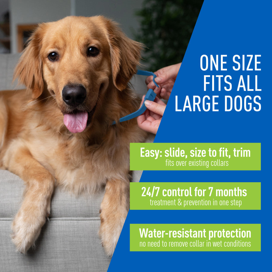 Adams Plus Flea Tick Collar for Dogs, Small 1ea/Large