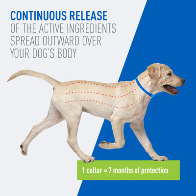 Adams Plus Flea Tick Collar for Dogs, Small 1ea/Large