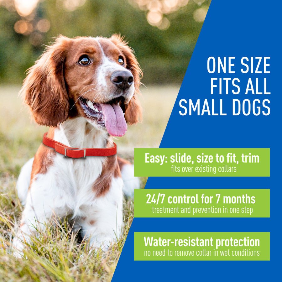 Adams Plus Flea Tick Collar for Dogs, Small 1ea/SMall