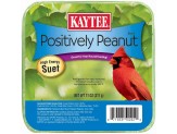 Kaytee Positively Peanut High Energy Mini Suet 1ea/11 oz