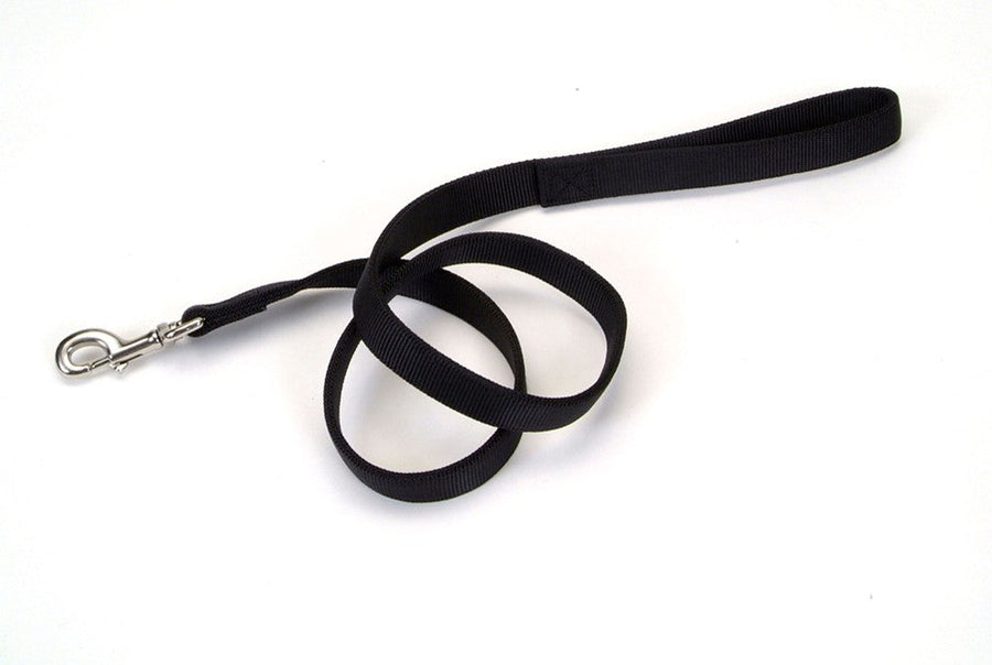 Coastal DoublePly Nylon Dog Leash Black, 1ea/1 In X 4 ft