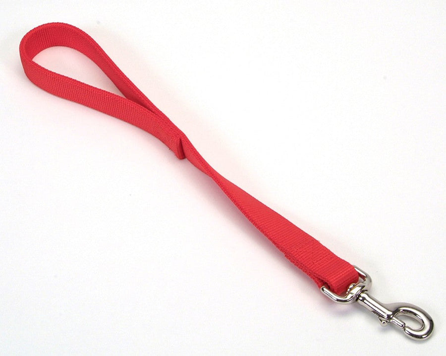Coastal DoublePly Nylon Traffic Dog Leash Red, 1ea/1 In X 24 in