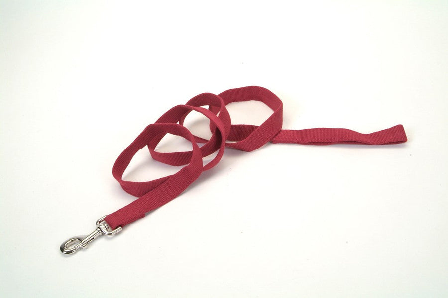 Earth Soy Dog Leash Cranberry 1ea/5/8 In X 6 ft