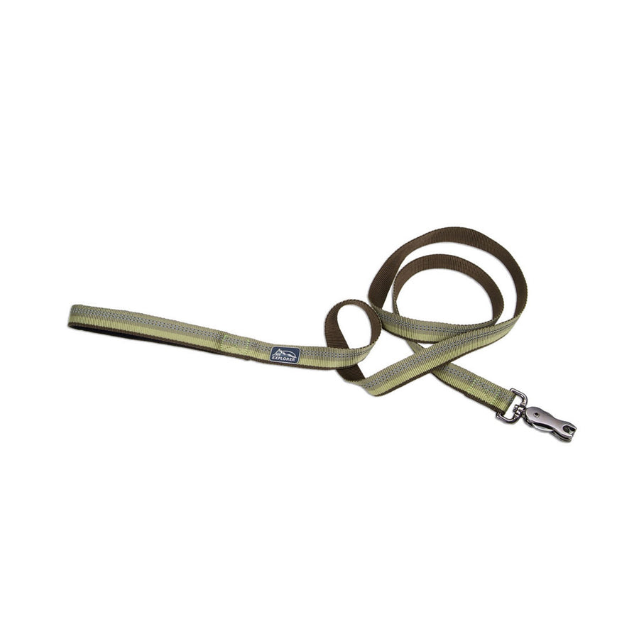 Coastal Products K9 Explorer Reflective Dog Leash With Scissor Snap Fern Medium/Large 1" x 6'