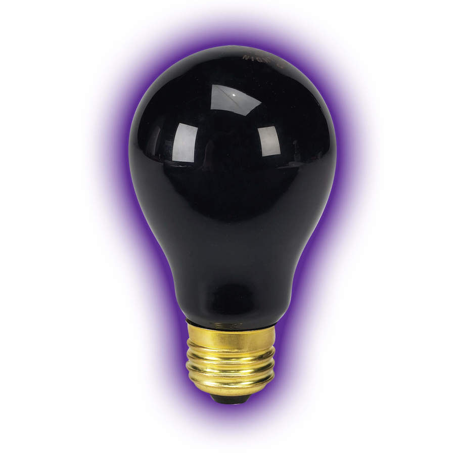 Zilla Incandescent Bulb Night Black, 1ea/100 W