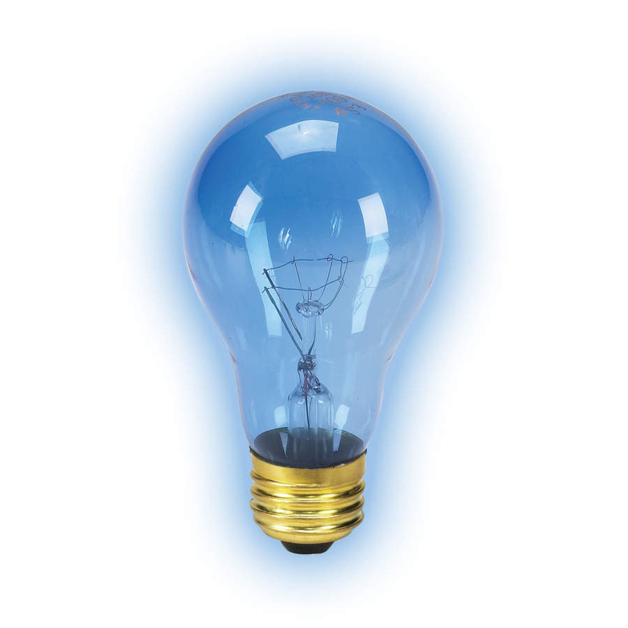 Zilla Incandescent Bulb Day Blue, 1ea/50 W