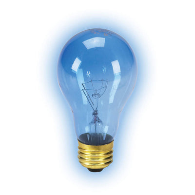 Zilla Incandescent Bulb Day Blue, 1ea/50 W