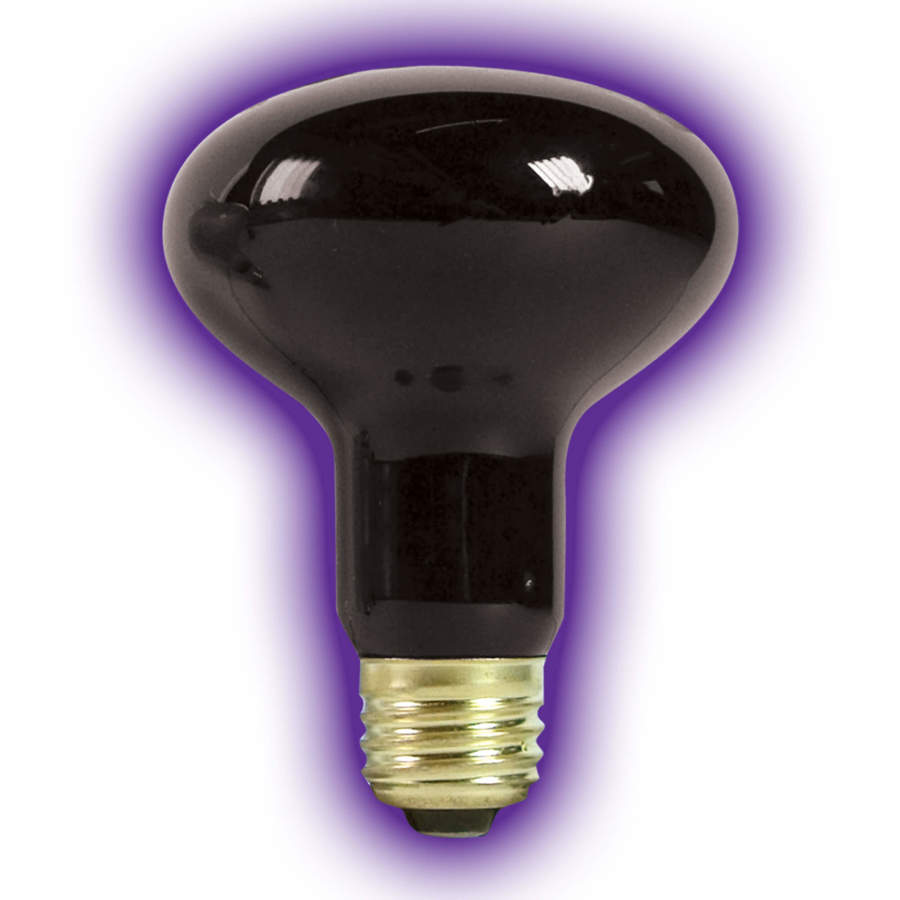 Zilla Incandescent Spot Bulb Night Black, 1ea/100 W