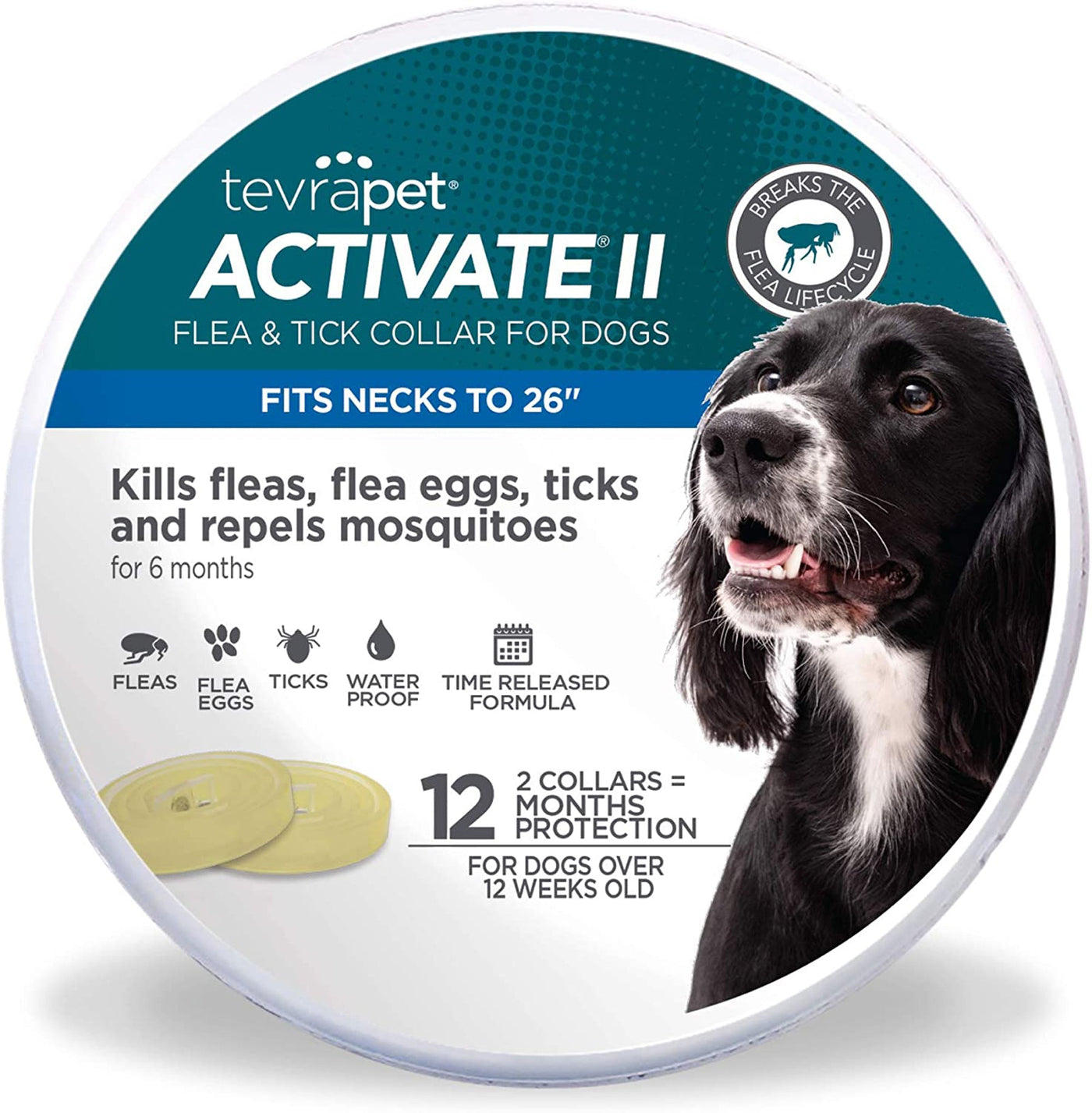 Vetality Protect Flea Tick Dog Collar 1ea/2 pk
