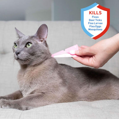 Adams Plus Flea Tick Spot On for Cats 1ea/Over 5 lb