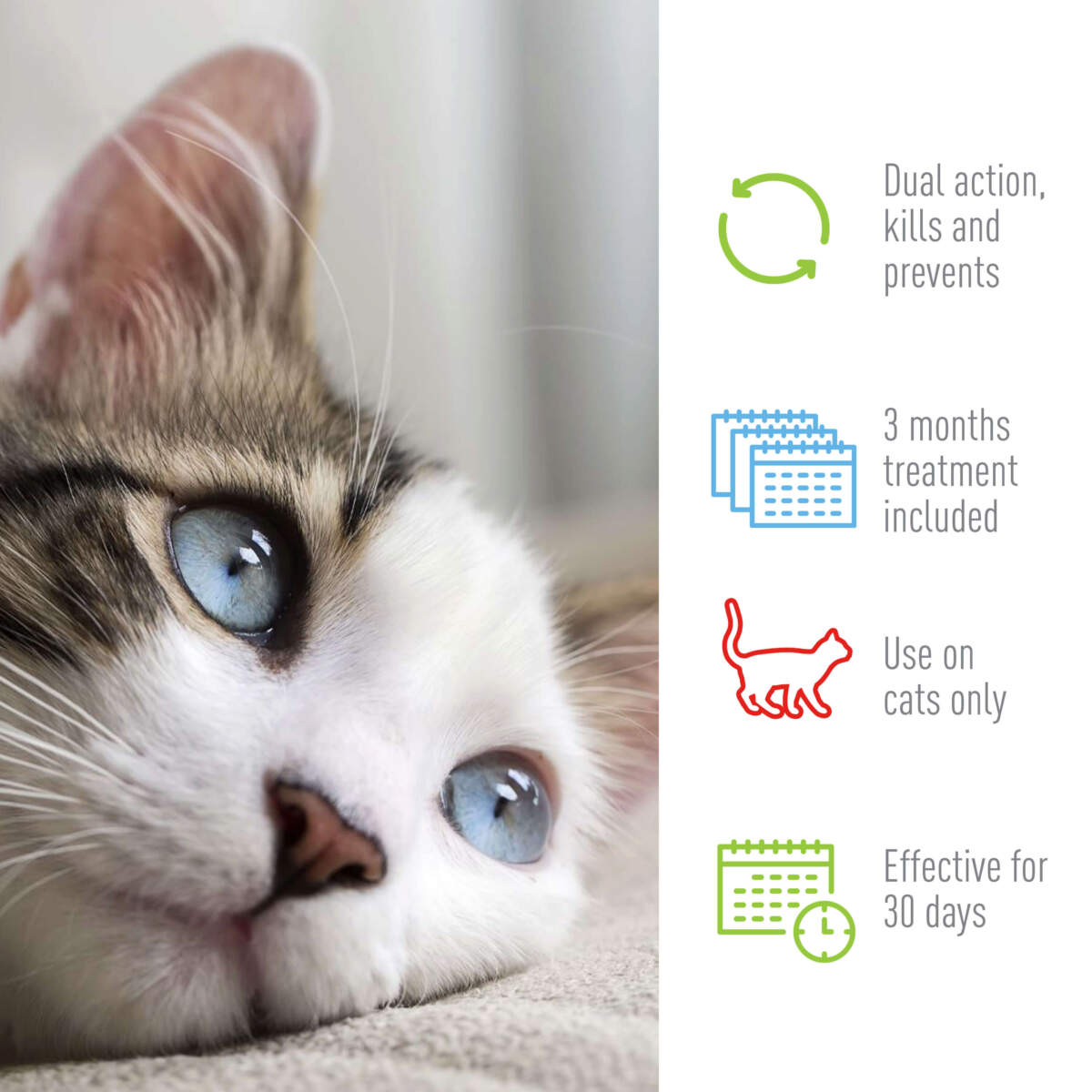 Adams Plus Flea Tick Spot On for Cats 1ea/Over 5 lb