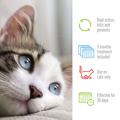 Adams Plus Flea Tick Spot On for Cats 1ea/Over 5 lb