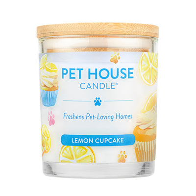 Pet House Candle Spring Display 12 Piece