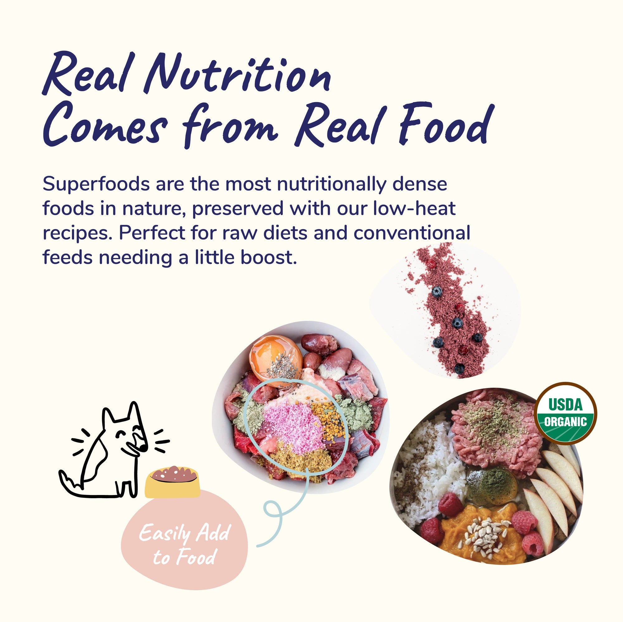 Kin+Kid Supplement Raw Berryboost 4oz. (Small) Uti Antioxidant