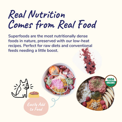 Kin+Kid Supplement Raw Berryboost 4oz. (Small) Uti Antioxidant