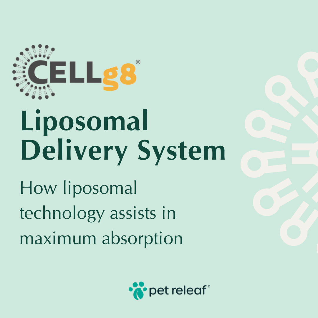 Pet Releaf Liposome Hemp Oil Cbd 600Mg