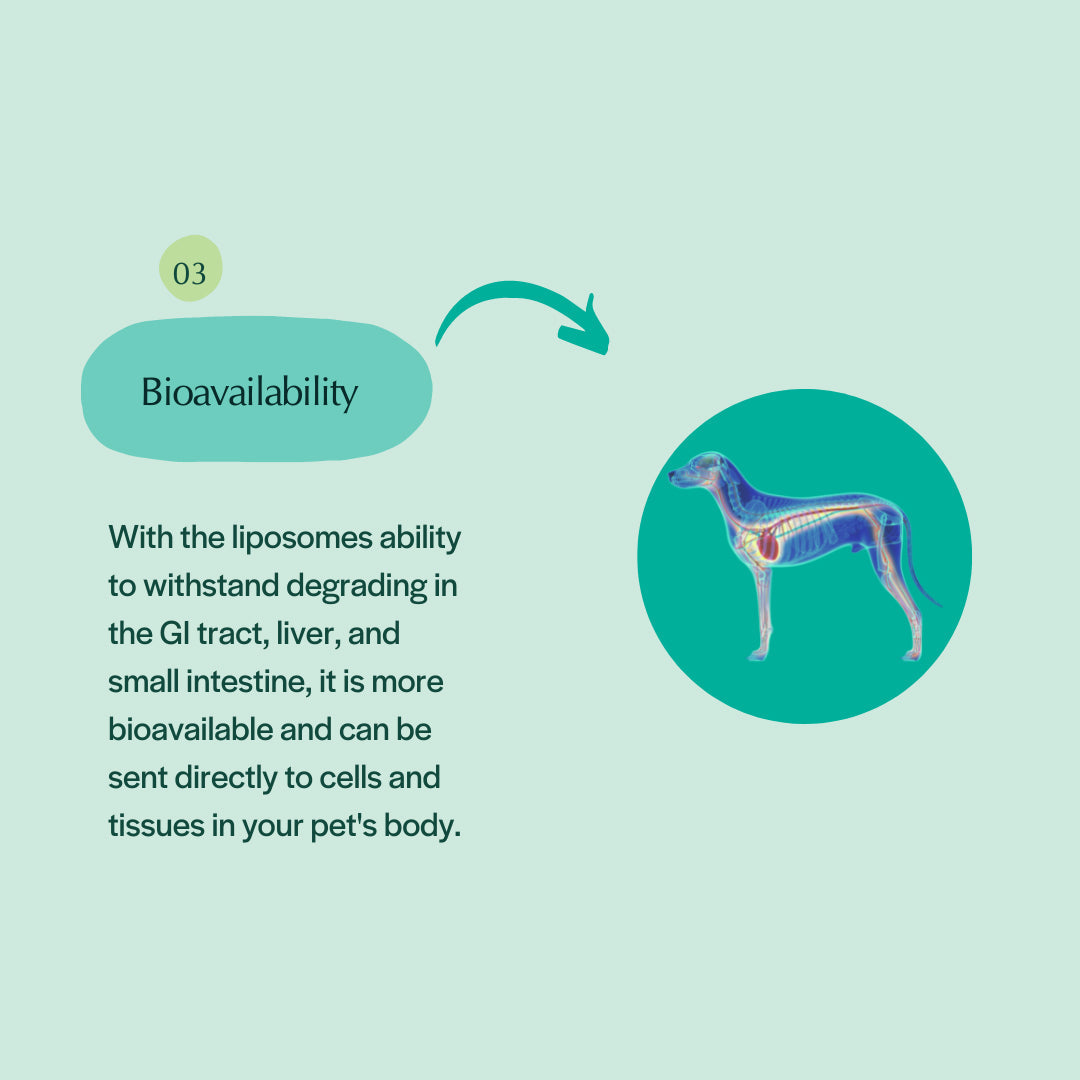 Pet Releaf Liposome Hemp Oil Cbd 600Mg