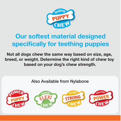 Nylabone Puppy Starter Kit Dog Chew Toys & Treat Chicken & Bacon 1ea/SMall/Regular - Up To 25 Ibs.