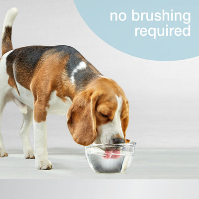 Nylabone Advanced Oral Care Water Additive for Dogs Original 1ea/16 oz