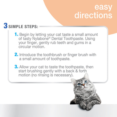 Nylabone Advanced Oral Care Cat Dental Kit 1ea/2.5 oz