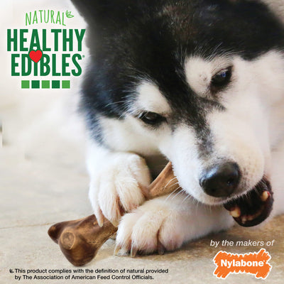 Nylabone Healthy Edibles WILD Natural Long Lasting Venison Dog Chew Treats Venison, Large/Giant  Up To 50 Lbs. 1 ct