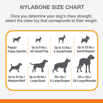Nylabone Power Chew Femur Dog Bone Alternative Bacon 1ea/Large/Giant - Up To 50 lb