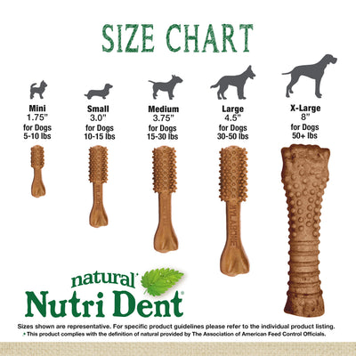 Nylabone Nutri Dent Filet Mignon Dog Dental Chews Filet Mignon 1ea/Mini - 5 Lbs. To 10 lb