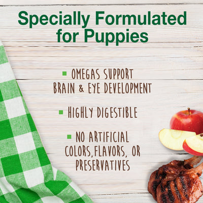 Nylabone Healthy Edibles Puppy AnimalShaped Lamb  Apple Dog Chew Treats Lamb  Apple, SMall/Regular  Up To 25 Ibs. 4 ct