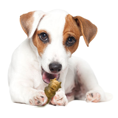 Nylabone Healthy Edibles AllNatural Long Lasting Puppy Chew Treats Lamb  Apple, 1ea/SMall/Regular  Up To 25 Ibs. 12 ct