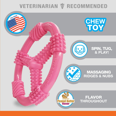 Nylabone Puppy Chew Spin Tug Play Toy Peanut Butter, Pink, 1ea/Medium/Wolf  Up To 35 Lbs. 1 ct