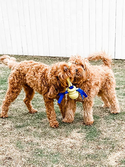Nylabone Power Play Fling-a-Bounce Interactive Dog Toy 1ea/Medium/Wolf - Up To 35 lb