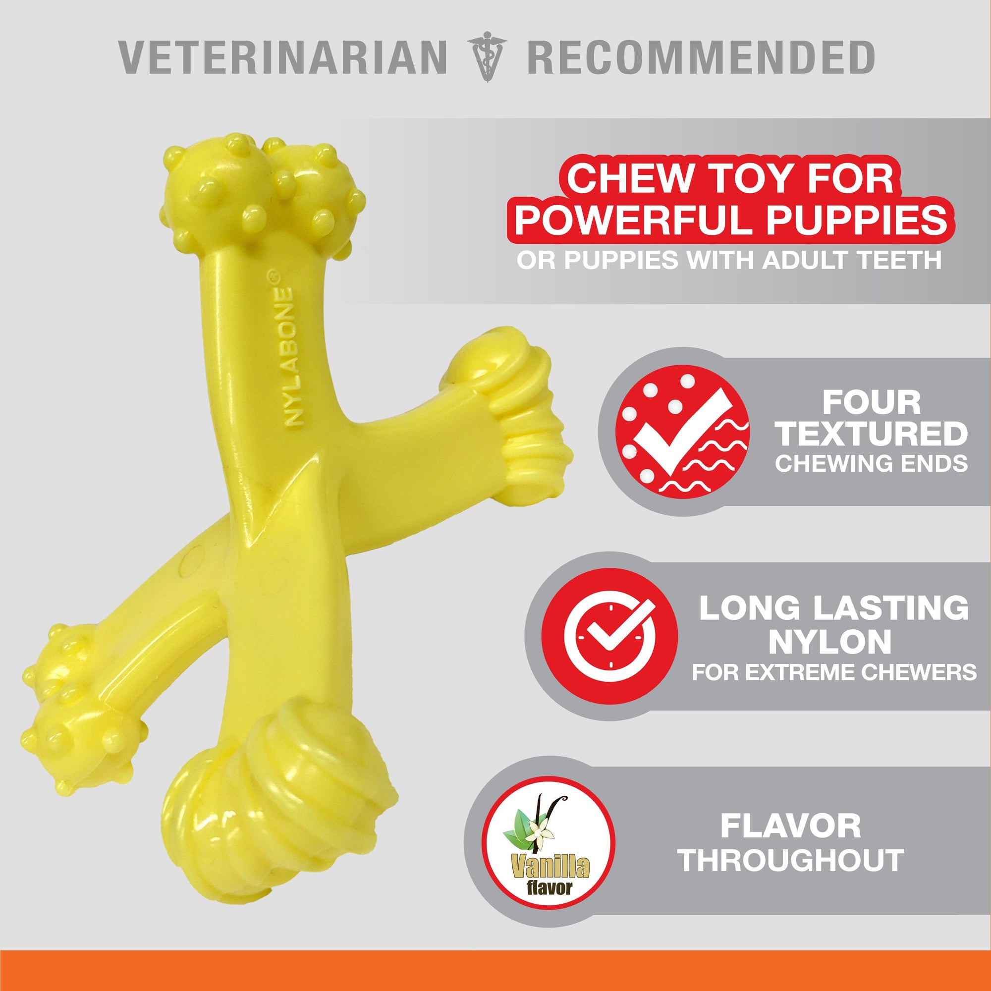 Nylabone Puppy Power Chew Axis Bone Nylon Chew Toy Vanilla, 1ea/SMall/Regular  Up To 25 Ibs. 1 ct