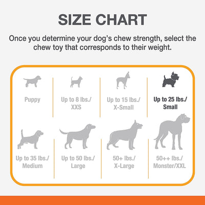 Nylabone Puppy Power Chew Axis Bone Nylon Chew Toy Vanilla, 1ea/SMall/Regular  Up To 25 Ibs. 1 ct