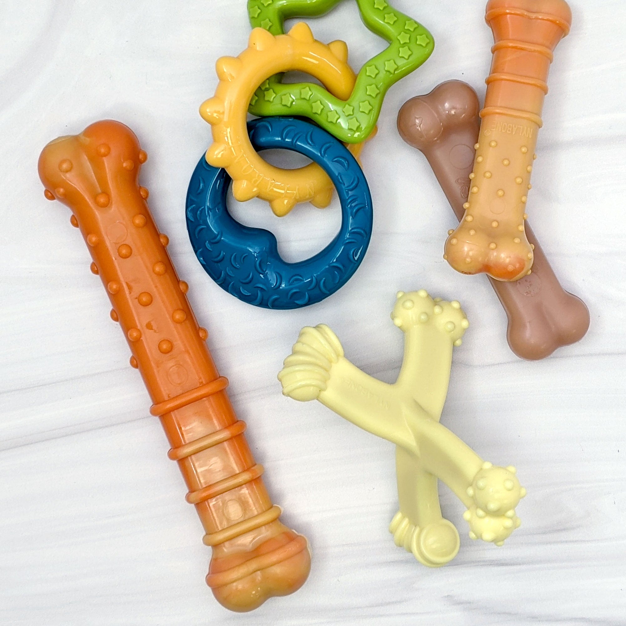 Nylabone Puppy Power Chew Axis Bone Nylon Chew Toy Vanilla, 1ea/SMall/Regular  Up To 25 Ibs. 1 ct