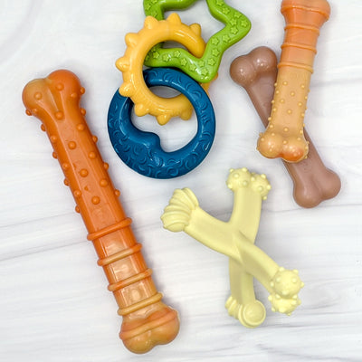 Nylabone Puppy Power Chew Axis Bone Nylon Chew Toy Vanilla, 1ea/SMall/Regular  Up To 25 Ibs. 1 ct
