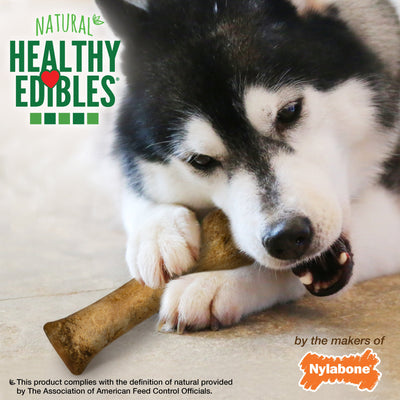 Nylabone Healthy Edibles AllNatural Long Lasting Chew Treats Roast Beef, 1ea/XL/Souper  50 Lbs. 2 ct