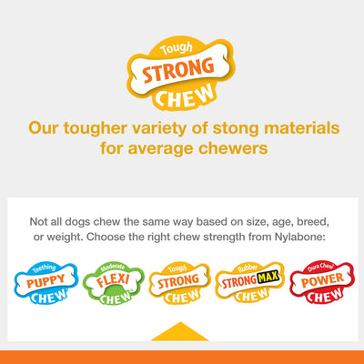 Nylabone Sneaky Snacker Dog Treat Toy Bacon Sneaky Snacker 1ea/Large/Giant - Up To 50 lb