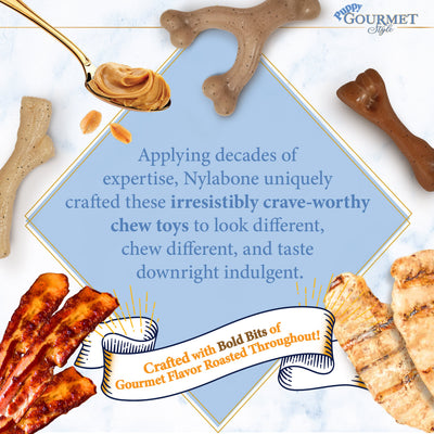 Nylabone Gourmet Style Puppy Chew Toy Twin Pack Bacon, Peanut Butter 1ea/SMall/Regular - Up To 25 Ibs.