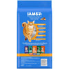 IAMS ProActive Health Healthy Enjoyment Dry Cat Food Chicken & Salmon 1ea/3 lb