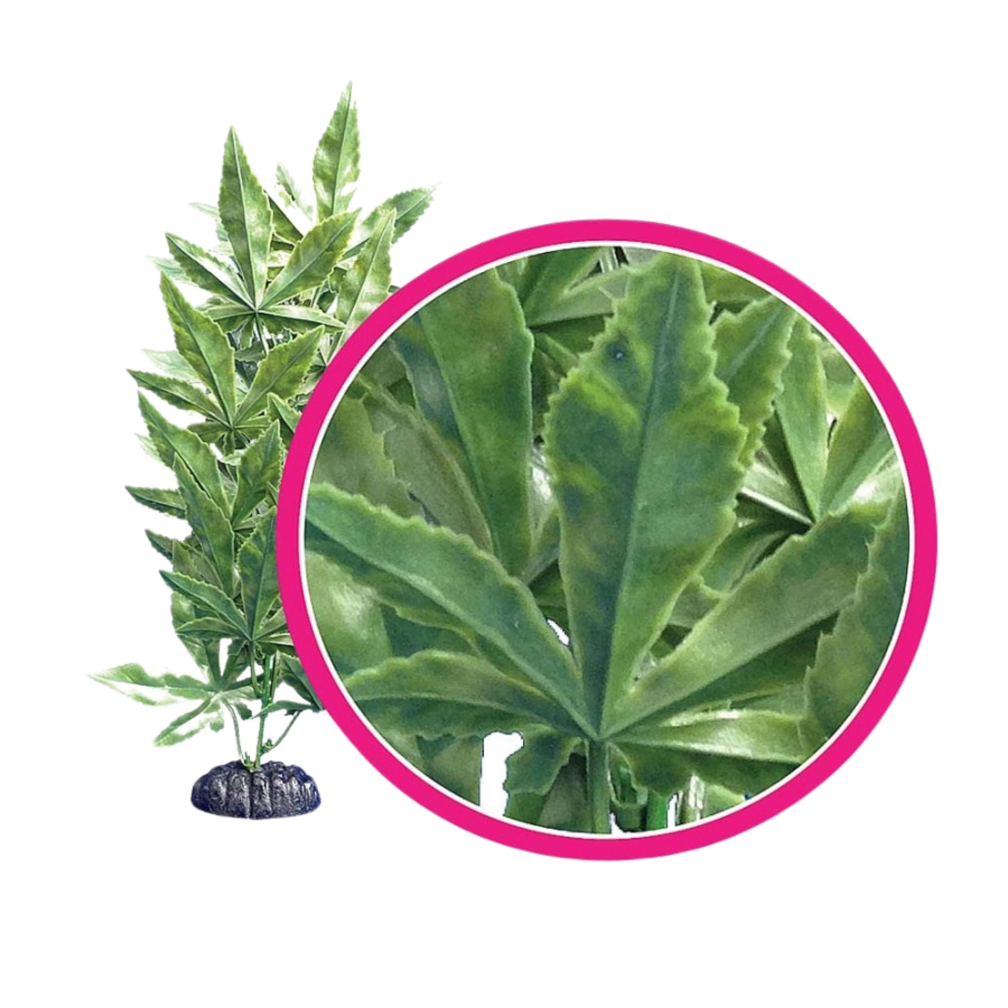 Weco Products Dream Series Hash Aquarium Plant Green, 1ea/6 in