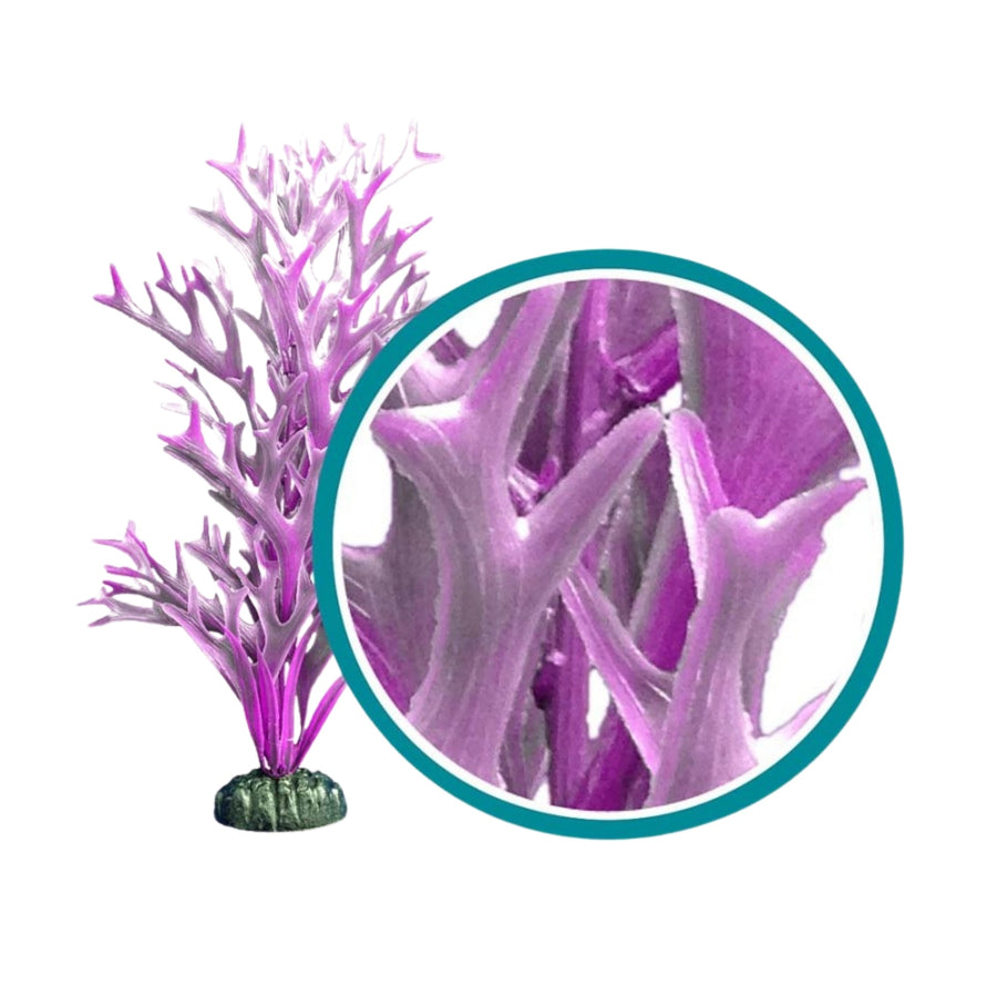 Weco Products Marine Pro Series Giant Kelp Aquarium Plant Purple, 1ea/12 in, Giant