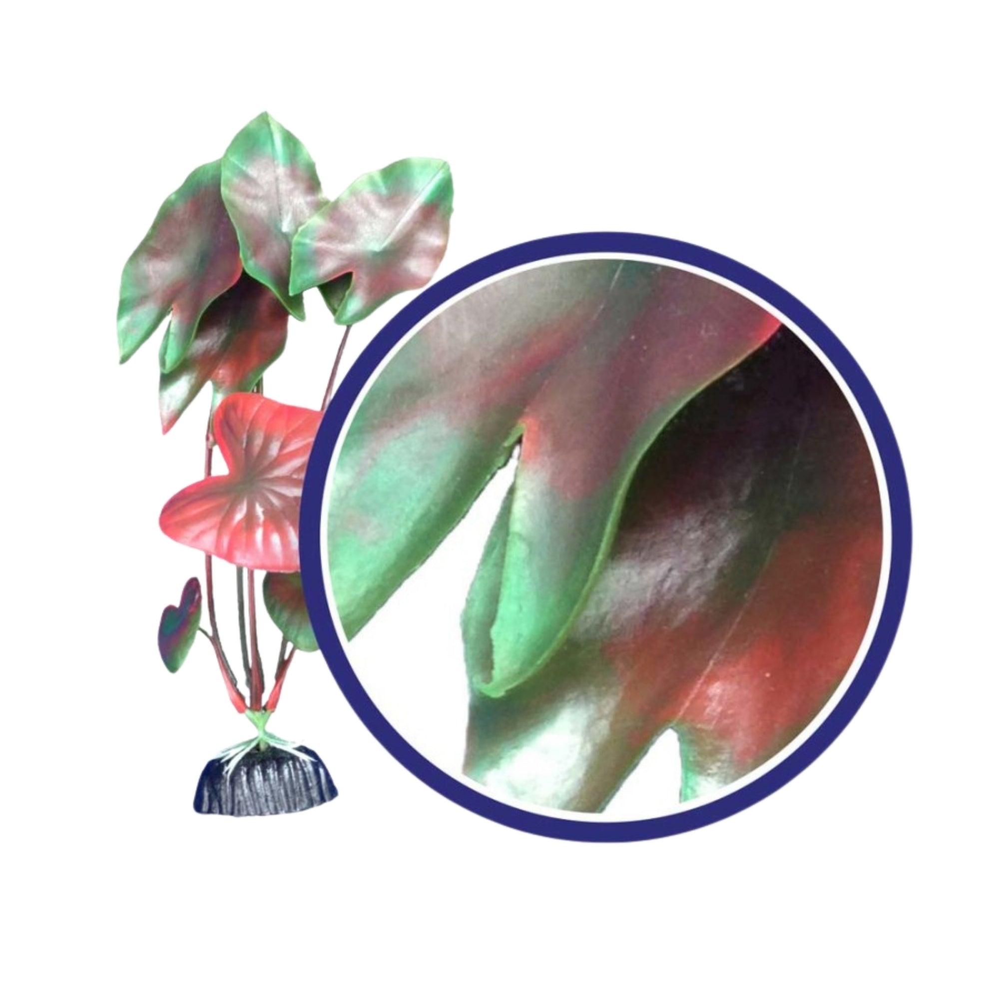 Weco Products Freshwater Series Tiger Lotus Aquarium Plant Red, 1ea/18 in